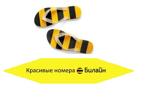 Код оператора Билайн: виды номеров